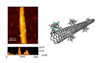 Single-Walled Carbon Nanotube Device can Detect Below-Threshold Signals Via Noise