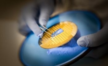 Nanopatch Vaccine Effectively Combats Polio Virus