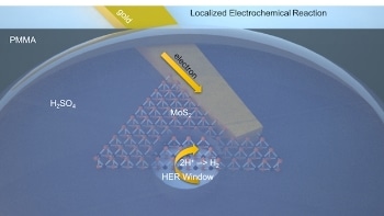 New Research Paves Way for Better 2D Catalysts