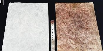 New Paper-Based Flexible Supercapacitor for Powering Wearable Devices