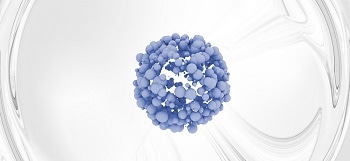 Nanopore Technology One Step Closer to Identifying Proteins and Peptides