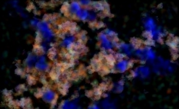 Investigating the Use of Nanotechnology to Remove Toxic Chemicals from Soil