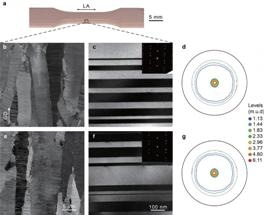 Nanotwins can Slow the Accumulation of Fatigue-Related Damage in Metals
