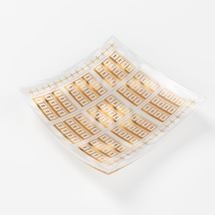 Application of Graphene for THz Electronics