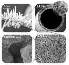 Filter Membranes Made with Nanoparticles Restrict Accumulation of Slime