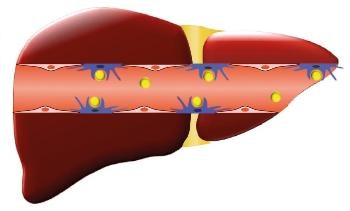 Nanomedicine Researchers Discover New Use for 70-Year-Old Drug