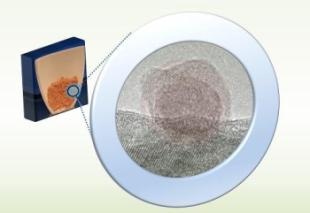Scientists Achieve Environment-Friendly Synthesis of Metal-Sulfide Nanoparticles