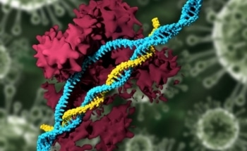 Use of Nanoparticles to Deliver CRISPR Genome-Editing System into Mice