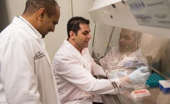 Drug-Filled Nanoparticles Used to Target, Kill Endometrial Cancer in Lab Study
