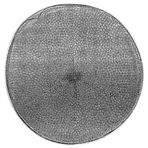 Scientists Develop Novel Lenses that Enable X-ray Microscopy with Record Nanometer Resolution
