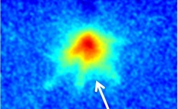 Wet Plasma for Use in High-Yield Synthesis of Nanomaterials