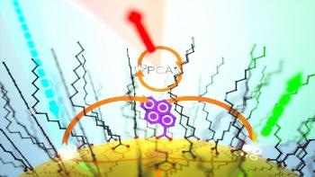 Research Shows that Semiconductor Nanocrystals Undergo Thermally Activated Delayed Photoluminescence