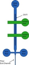 New Technology for Inserting Nanotubes into Brain to Study Neuronal Actions