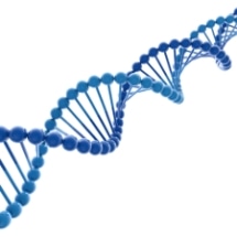 Innovative Nanomedicine Arrests Advancement of Pancreatic Cancer in Mouse