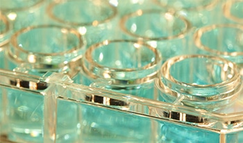 Using Silver Nanoparticles to Enhance Raman Spectroscopy