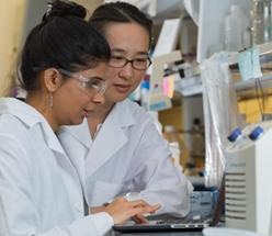 Nanoscale Virus Altered to Deliver Peptide Drugs to Cells