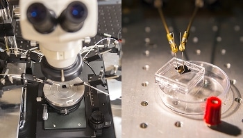 Internet of Things Advances with New Breed of "Memristors"