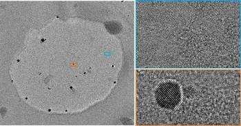 Graphene ‘Petri-Dish’ Allows Measurement of Single Atoms