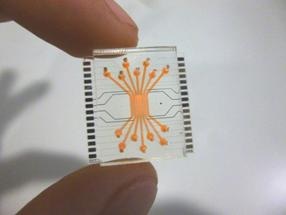 Microfluidic Device Mimics Structure and Physiological Conditions of the Blood-Retinal Barrier