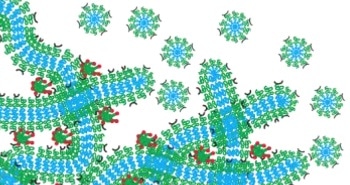 Injectable Delivery System Discharges Drug Carriers for Months