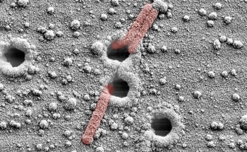Nanoengineering Technique Could Treat Cancer and Infections