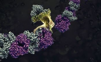 Materials Scientists Develop Revolutionary Nanomaterial