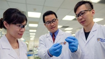 Magnetic Nanoparticles for Quick Screening of Pesticide Residue in Vegetables
