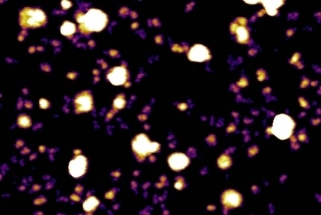 Exomeres -  Highly Effective Messengers of Tumor Information