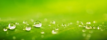 Study on Health and Environmental Hazards Surrounding Nanomaterials