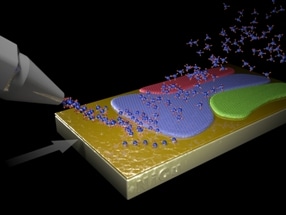 Evolutionary Selection of Single-Crystal Growth - Method for Advancing Scalable 2D Materials