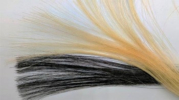 Non-Toxic, Anti-Static Hair Dye Formula with Graphene