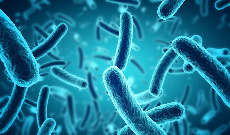 ‘Photonic Hook’ Allows You to Fish for Bacteria