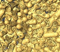Light-Activated NanoZymes Control Hospital-Acquired Infections