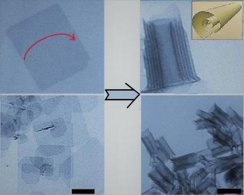 Two-Dimensional Cadmium Telluride Naturally Folds into Nanoscrolls