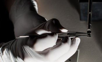 New Device Offers Insights into Effects of Electron Irradiation on Biological Samples