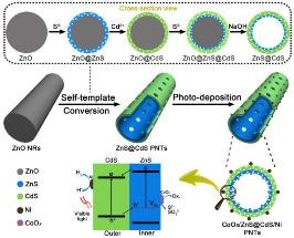 Double-Layered Porous Nanotubes Show Enhanced Photocatalytic Activity Toward Hydrogen Production