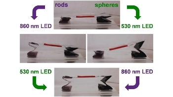 3D Structures Can Be Sequentially Unfolded with the Help of Gold Nanoparticles