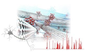 Researchers Get One Step Closer to Replicating Functions of the Brain