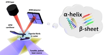 First Measurement of Folding of Proteins in Water at Nanoscale