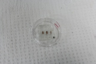 Type of “Lab on a Chip” Could Rapidly Detect Disease-Causing Bacteria