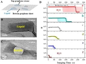 Graphene Pocket Protects Sample Contained in Heavy Water