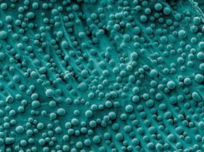 NIST Study Reveals How to Advance Nanoparticle Manufacturing