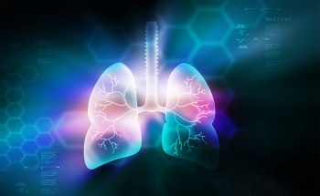 Biodegradable Graphene for Biomedical Applications