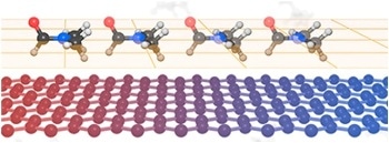 Revealing the Mechanisms Behind the Enhanced Thermal Properties of Graphene Nanofluids