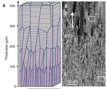 Study Shows Spaced-Out Nanotwins Could Improve Strength and Other Properties of Metals