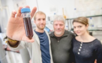 Researchers Transfer Structural Characteristics of Natural Enzymes to Metallic Nanoparticles