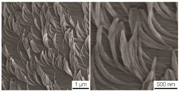 Innovative Nanofibers Could Help Create Sticky, Repellent, or Light-Emitting Coatings