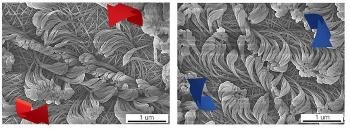 Cost-Effective Process Offers Customized Polymer Nanofibers for Various Applications