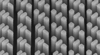 Meta-Surface Rectifies Chromatic Abnormalities in All Kinds of Lenses