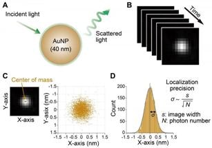 Novel Dark-Field Microscopy System Developed for Observing Motions of Kinesin